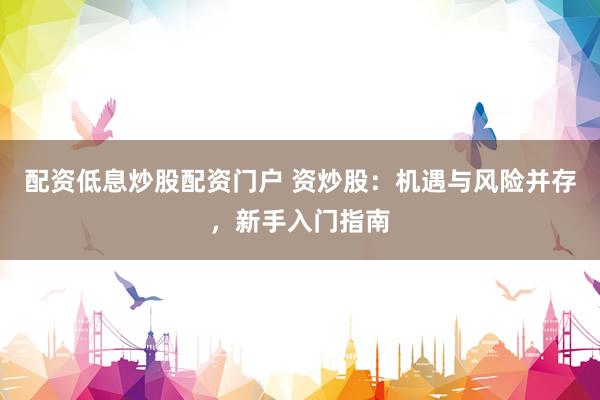 配资低息炒股配资门户 资炒股：机遇与风险并存，新手入门指南