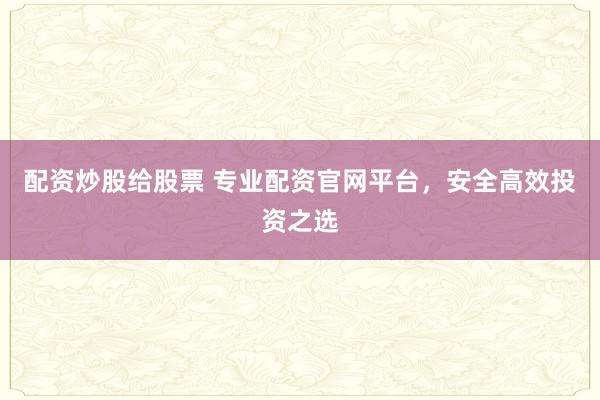 配资炒股给股票 专业配资官网平台，安全高效投资之选