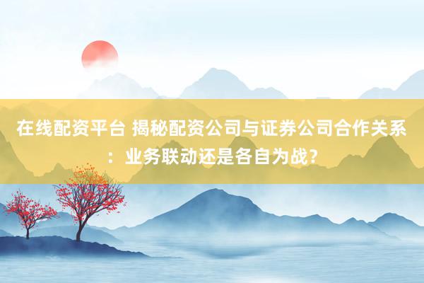 在线配资平台 揭秘配资公司与证券公司合作关系：业务联动还是各自为战？