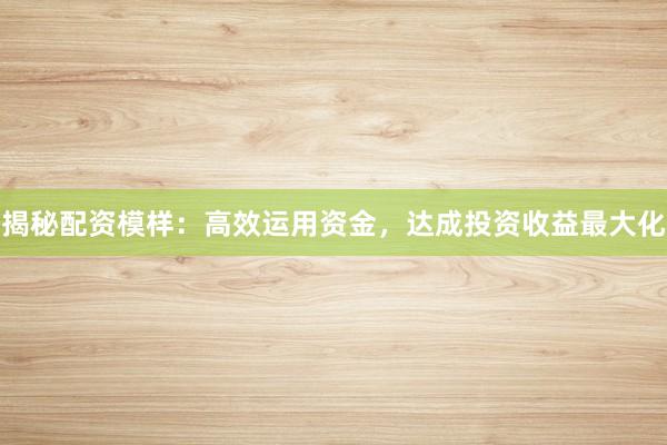 揭秘配资模样：高效运用资金，达成投资收益最大化