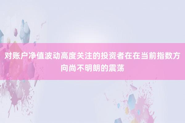 对账户净值波动高度关注的投资者在在当前指数方向尚不明朗的震荡